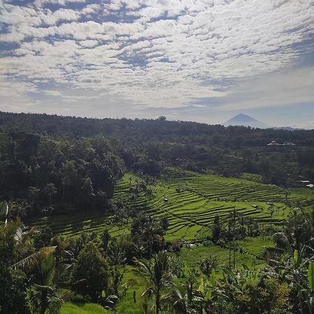 Gunza Bed And Breakfast Jatiluwih Exterior photo