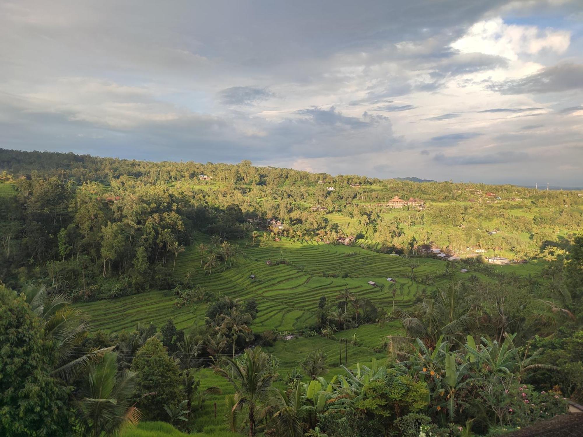 Gunza Bed And Breakfast Jatiluwih Exterior photo