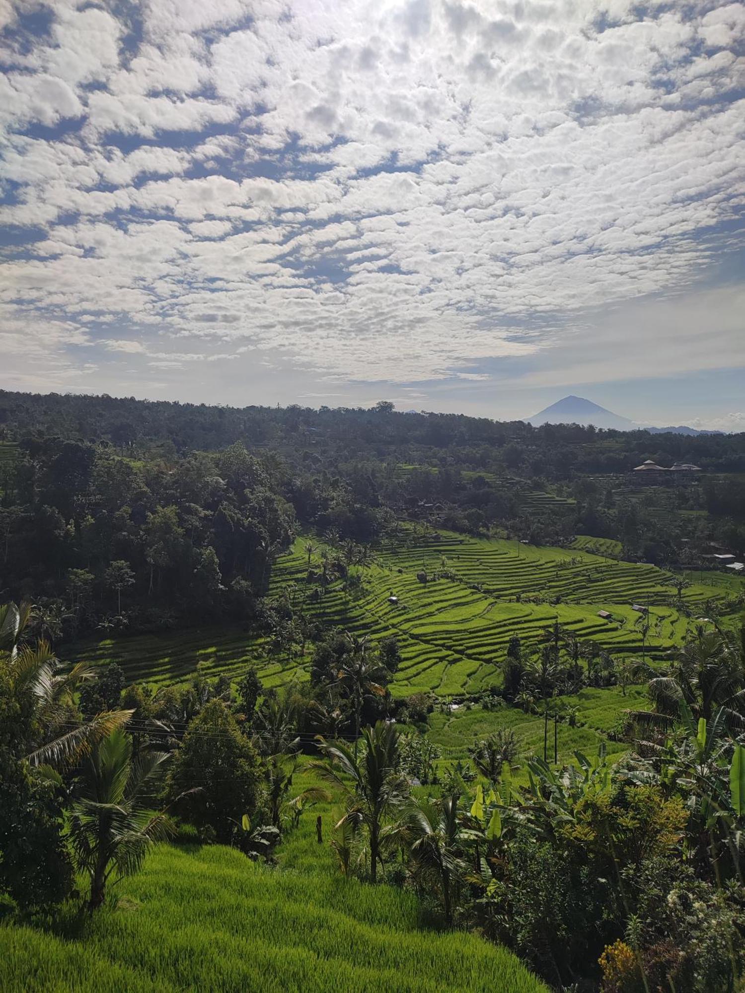 Gunza Bed And Breakfast Jatiluwih Exterior photo